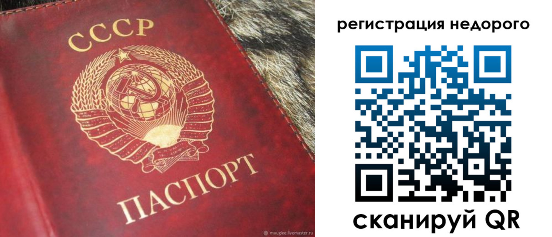 прописка ребенка в Борзе